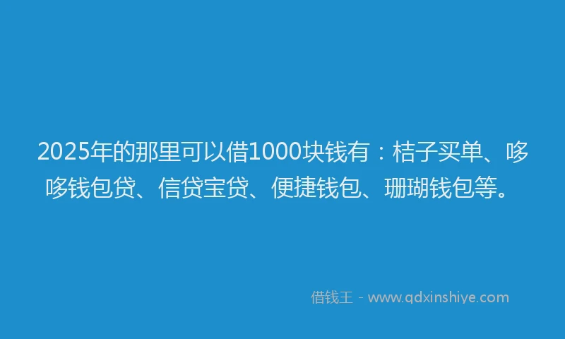 2025年的那里可以借1000块钱有：桔子买单、哆哆钱包贷、信贷宝贷、便捷钱包、珊瑚钱包等。