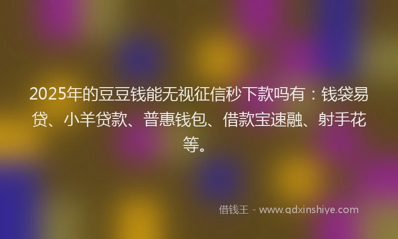 2025年的豆豆钱能无视征信秒下款吗有：钱袋易贷、小羊贷款、普惠钱包、借款宝速融、射手花等。