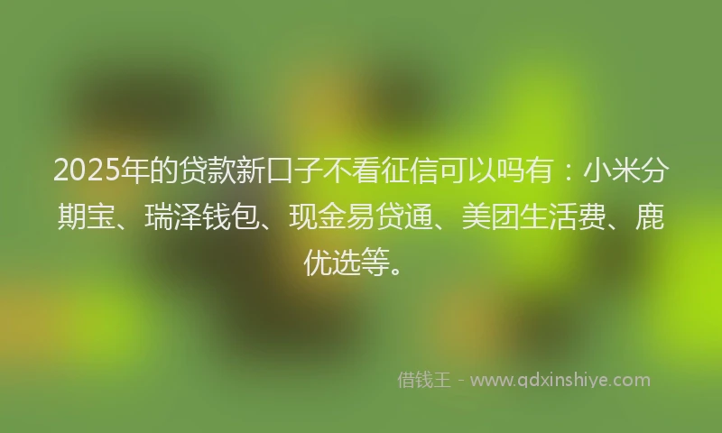 2025年的贷款新口子不看征信可以吗有：小米分期宝、瑞泽钱包、现金易贷通、美团生活费、鹿优选等。