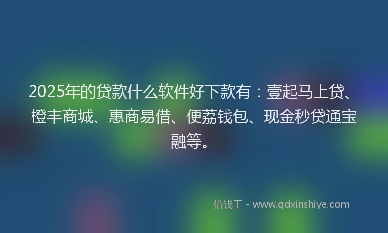 2025年的贷款什么软件好下款有：壹起马上贷、橙丰商城、惠商易借、便荔钱包、现金秒贷通宝融等。