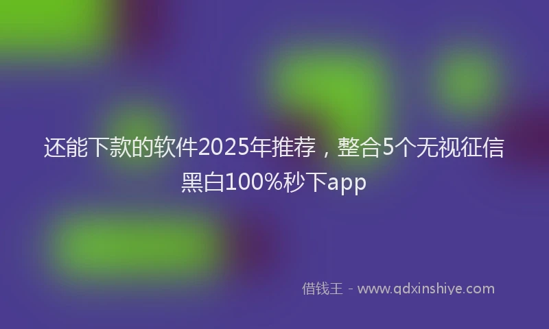 还能下款的软件2025年推荐，整合5个无视征信黑白100%秒下app