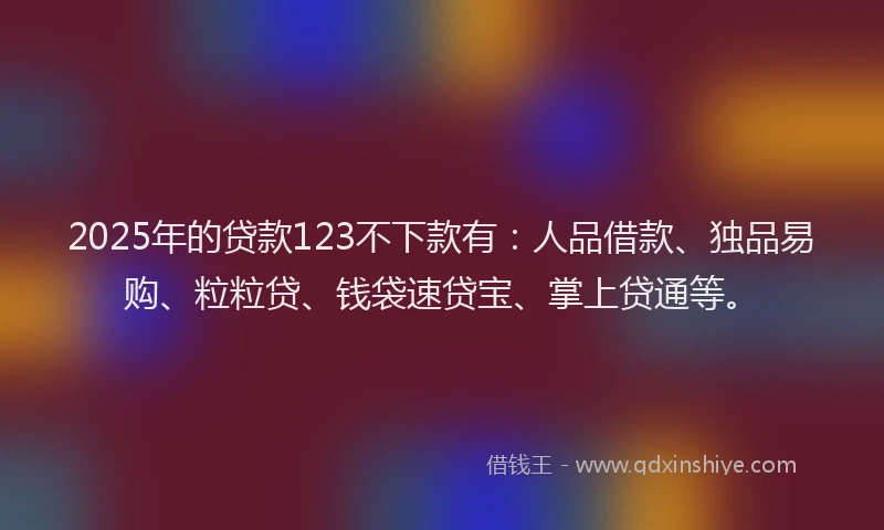 2025年的贷款123不下款有：人品借款、独品易购、粒粒贷、钱袋速贷宝、掌上贷通等。