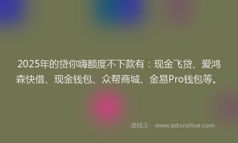 2025年的贷你嗨额度不下款有：现金飞贷、爱鸿森快借、现金钱包、众帮商城、金易Pro钱包等。