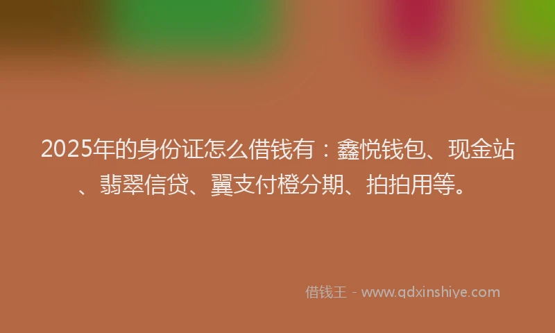 2025年的身份证怎么借钱有：鑫悦钱包、现金站、翡翠信贷、翼支付橙分期、拍拍用等。