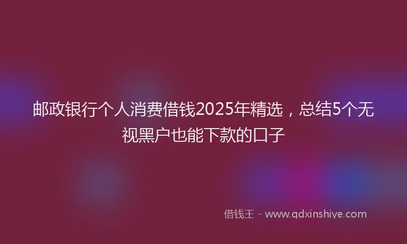 邮政银行个人消费借钱2025年精选，总结5个无视黑户也能下款的口子