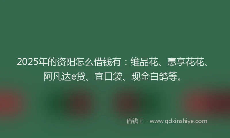 2025年的资阳怎么借钱有：维品花、惠享花花、阿凡达e贷、宜口袋、现金白鸽等。