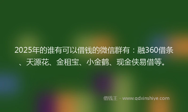 2025年的谁有可以借钱的微信群有：融360借条、天源花、金租宝、小金鹤、现金侠易借等。