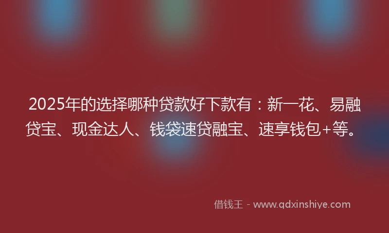 2025年的选择哪种贷款好下款有：新一花、易融贷宝、现金达人、钱袋速贷融宝、速享钱包+等。