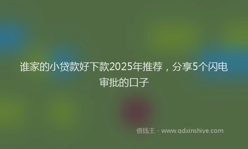 谁家的小贷款好下款2025年推荐，分享5个闪电审批的口子