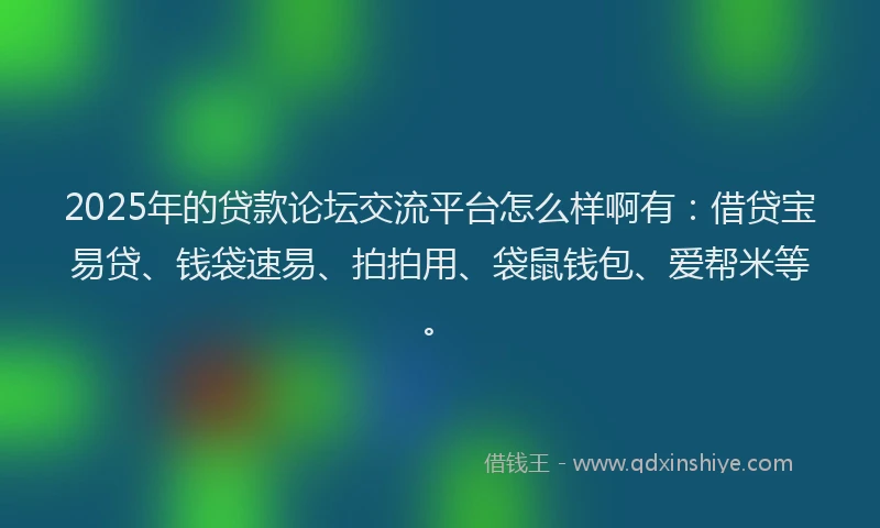 2025年的贷款论坛交流平台怎么样啊有：借贷宝易贷、钱袋速易、拍拍用、袋鼠钱包、爱帮米等。