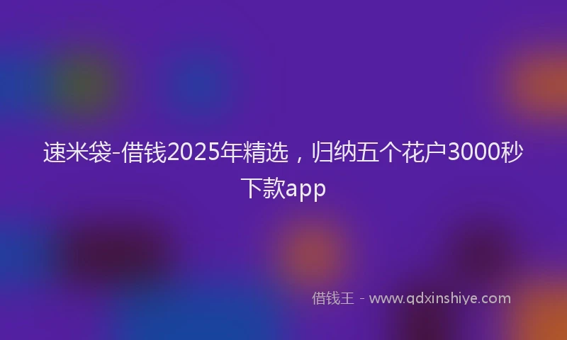 速米袋-借钱2025年精选，归纳五个花户3000秒下款app