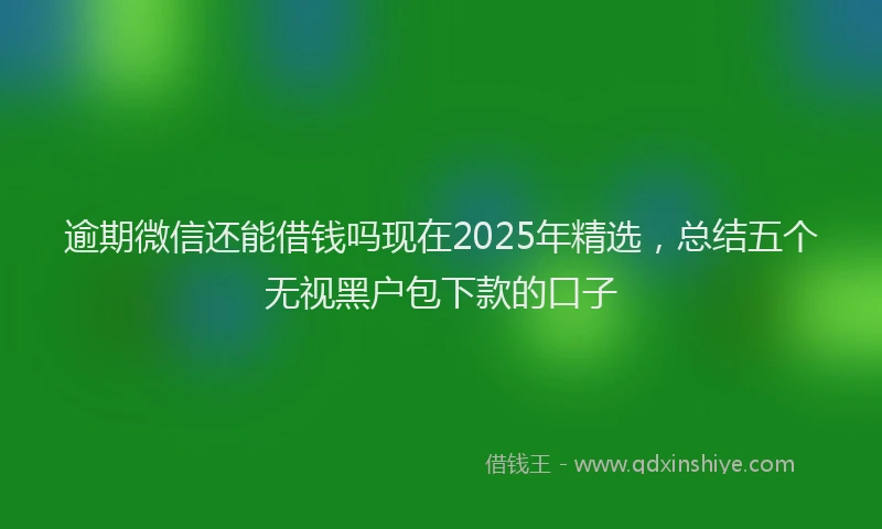 逾期微信还能借钱吗现在2025年精选，总结五个无视黑户包下款的口子