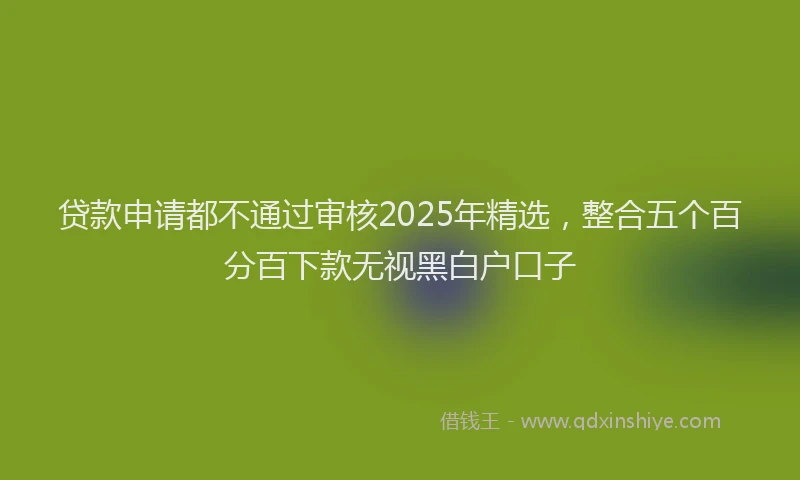 贷款申请都不通过审核2025年精选，整合五个百分百下款无视黑白户口子