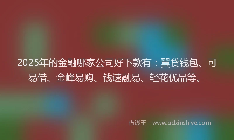 2025年的金融哪家公司好下款有：翼贷钱包、可易借、金峰易购、钱速融易、轻花优品等。