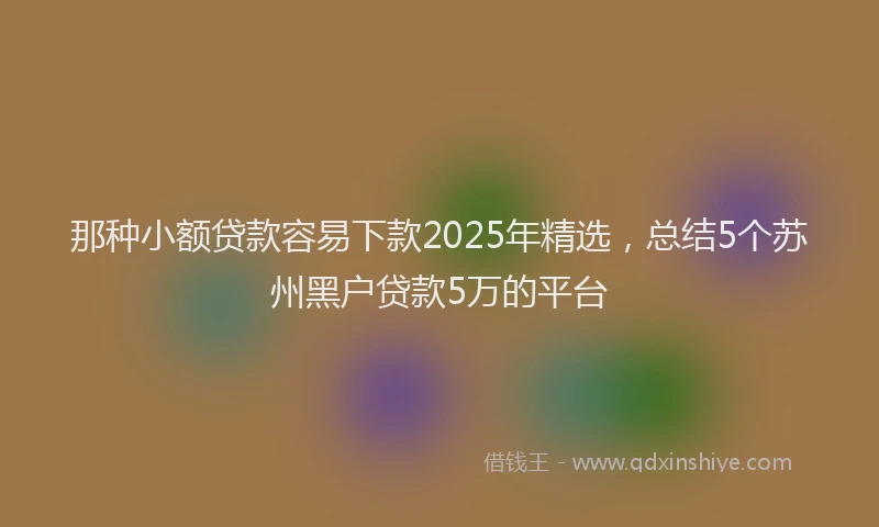 那种小额贷款容易下款2025年精选，总结5个苏州黑户贷款5万的平台