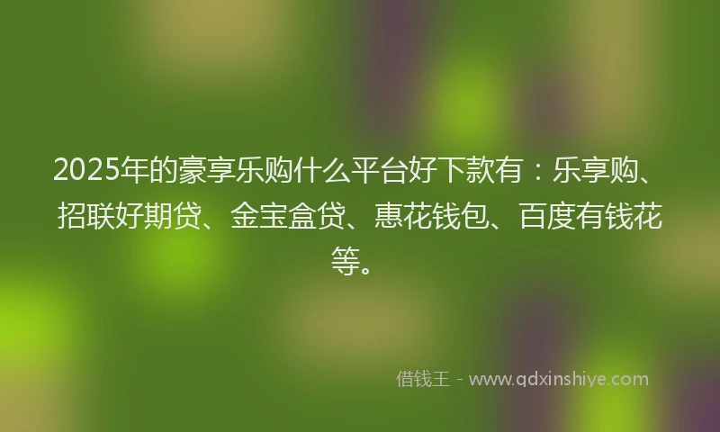 2025年的豪享乐购什么平台好下款有：乐享购、招联好期贷、金宝盒贷、惠花钱包、百度有钱花等。