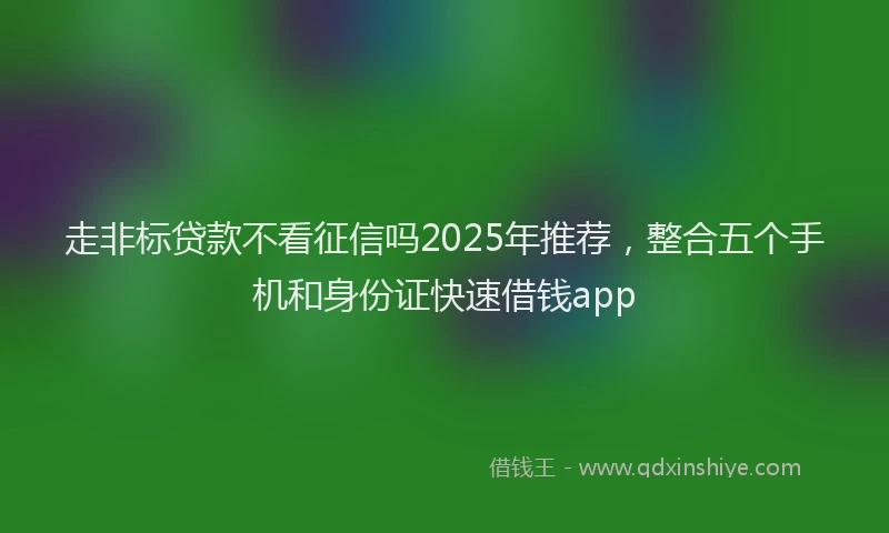 走非标贷款不看征信吗2025年推荐，整合五个手机和身份证快速借钱app