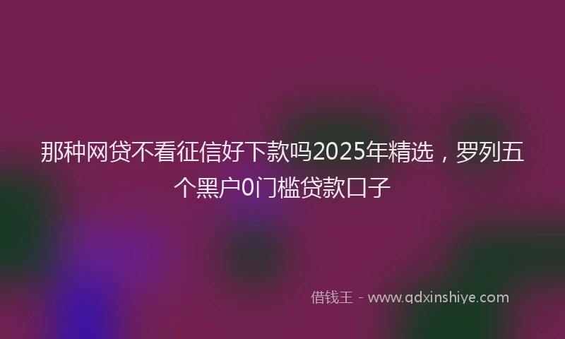 那种网贷不看征信好下款吗2025年精选，罗列五个黑户0门槛贷款口子