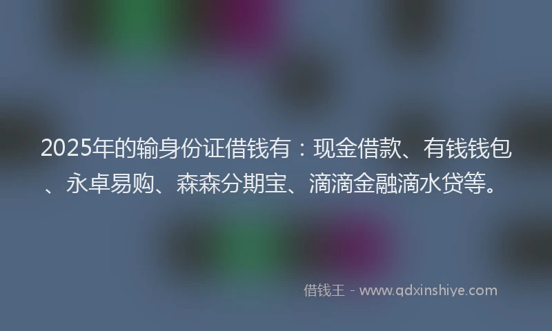 2025年的输身份证借钱有：现金借款、有钱钱包、永卓易购、森森分期宝、滴滴金融滴水贷等。