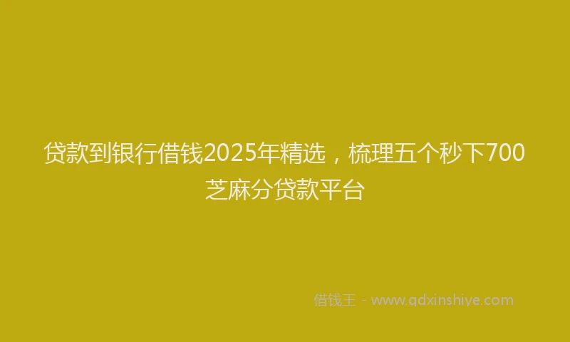 贷款到银行借钱2025年精选，梳理五个秒下700芝麻分贷款平台
