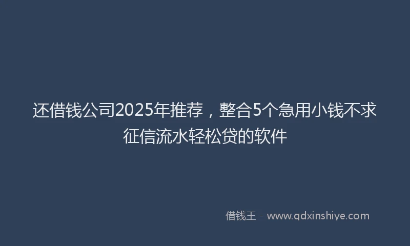 还借钱公司2025年推荐，整合5个急用小钱不求征信流水轻松贷的软件