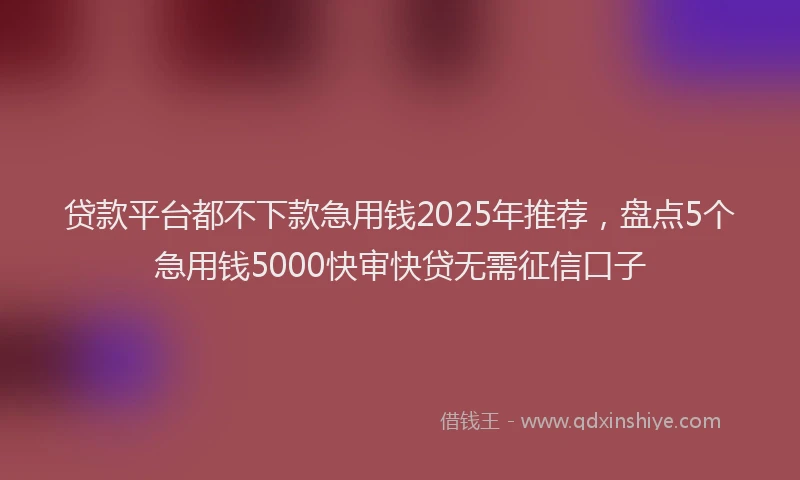 贷款平台都不下款急用钱2025年推荐，盘点5个急用钱5000快审快贷无需征信口子