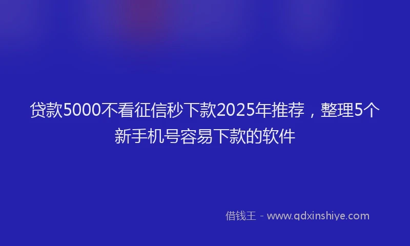 贷款5000不看征信秒下款2025年推荐，整理5个新手机号容易下款的软件