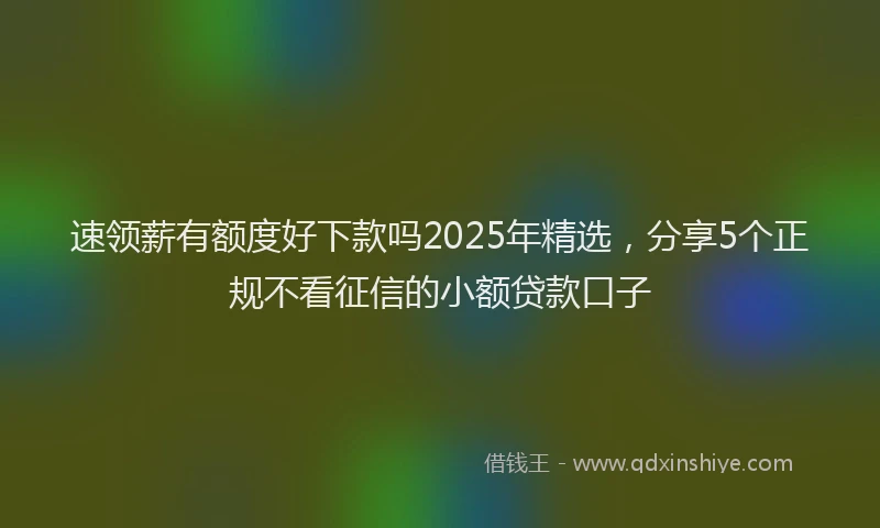 速领薪有额度好下款吗2025年精选，分享5个正规不看征信的小额贷款口子
