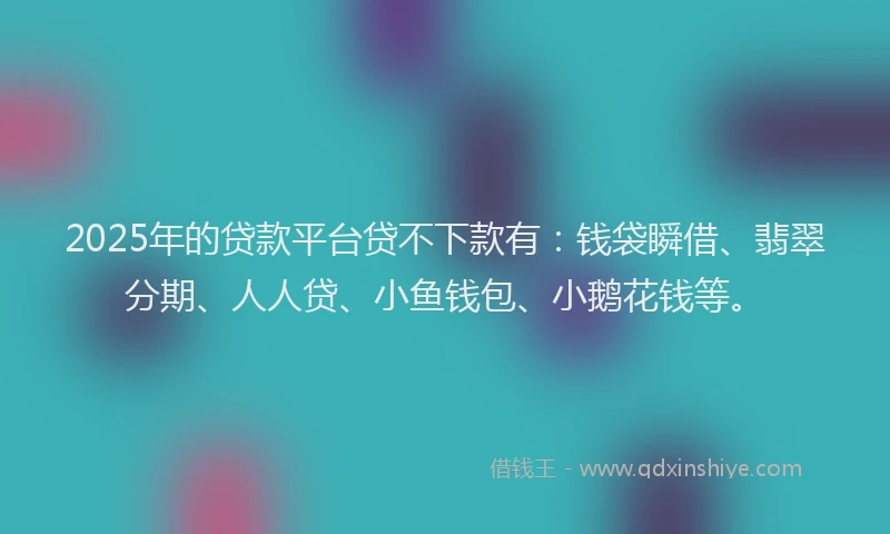 2025年的贷款平台贷不下款有：钱袋瞬借、翡翠分期、人人贷、小鱼钱包、小鹅花钱等。