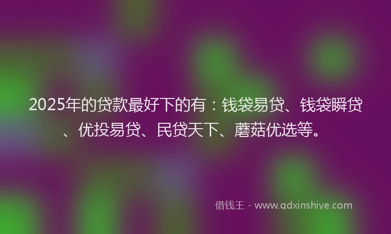 2025年的贷款最好下的有：钱袋易贷、钱袋瞬贷、优投易贷、民贷天下、蘑菇优选等。