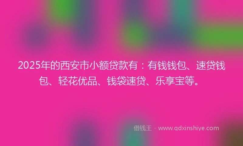 2025年的西安市小额贷款有：有钱钱包、速贷钱包、轻花优品、钱袋速贷、乐享宝等。