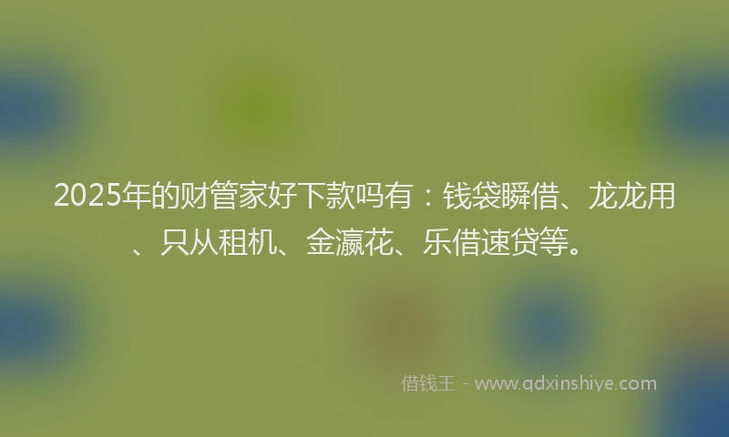 2025年的财管家好下款吗有：钱袋瞬借、龙龙用、只从租机、金瀛花、乐借速贷等。