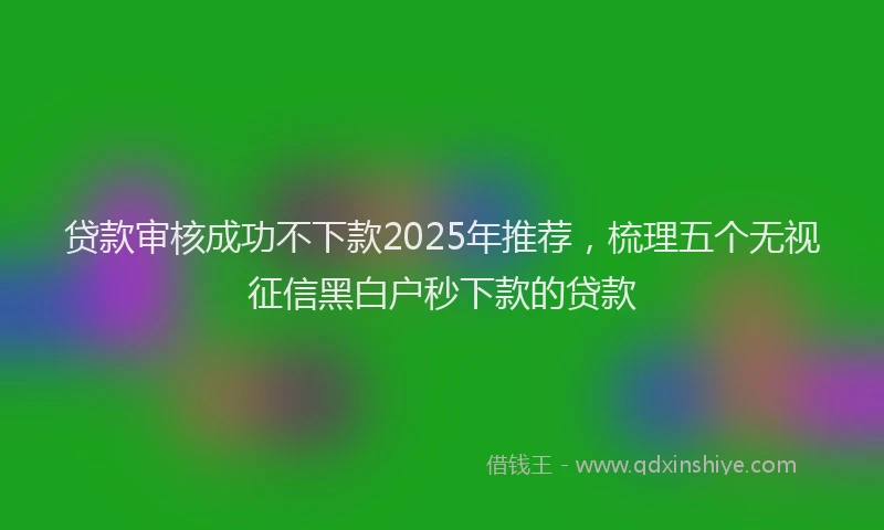 贷款审核成功不下款2025年推荐，梳理五个无视征信黑白户秒下款的贷款