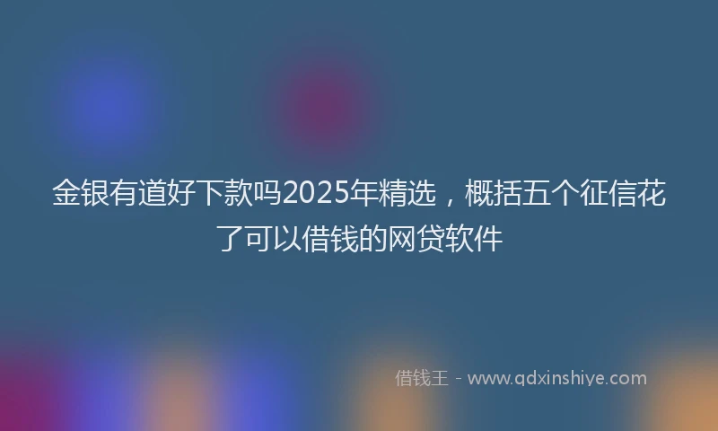金银有道好下款吗2025年精选，概括五个征信花了可以借钱的网贷软件
