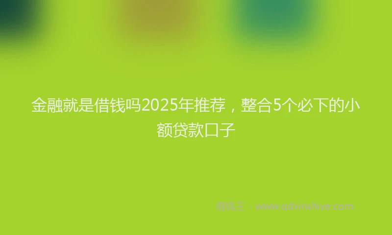 金融就是借钱吗2025年推荐，整合5个必下的小额贷款口子
