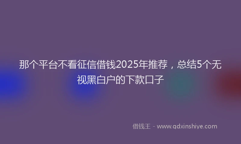 那个平台不看征信借钱2025年推荐，总结5个无视黑白户的下款口子