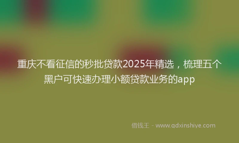 重庆不看征信的秒批贷款2025年精选，梳理五个黑户可快速办理小额贷款业务的app