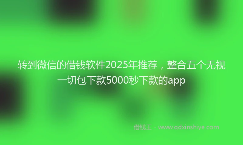 转到微信的借钱软件2025年推荐，整合五个无视一切包下款5000秒下款的app