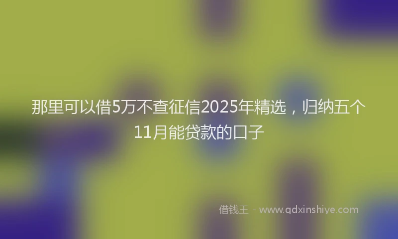 那里可以借5万不查征信2025年精选，归纳五个11月能贷款的口子