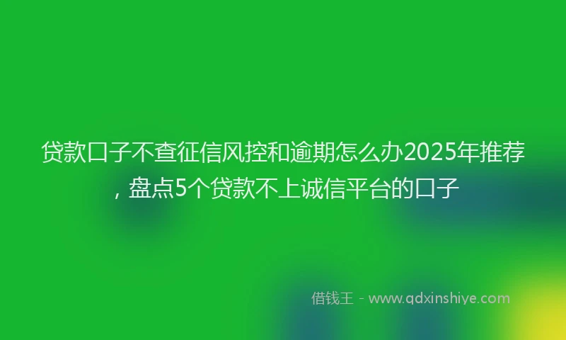 贷款口子不查征信风控和逾期怎么办2025年推荐，盘点5个贷款不上诚信平台的口子