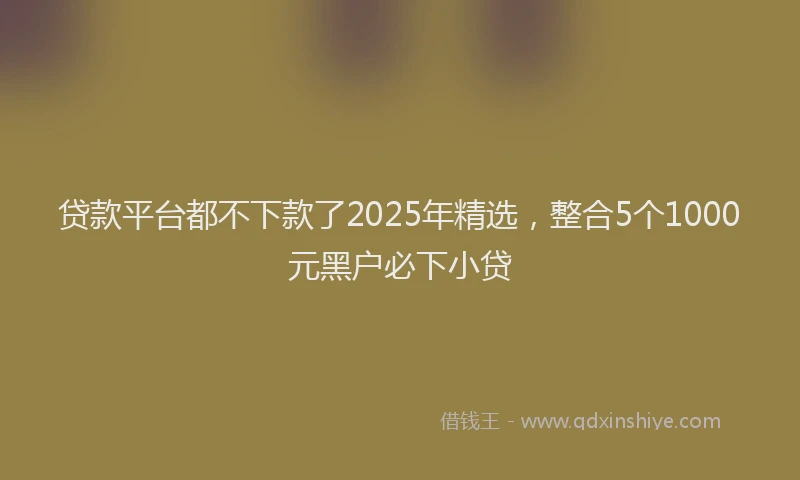 贷款平台都不下款了2025年精选，整合5个1000元黑户必下小贷