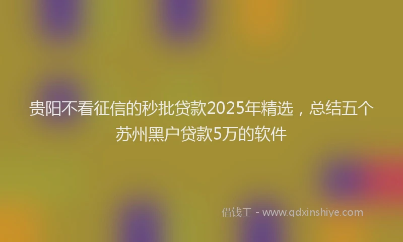 贵阳不看征信的秒批贷款2025年精选，总结五个苏州黑户贷款5万的软件