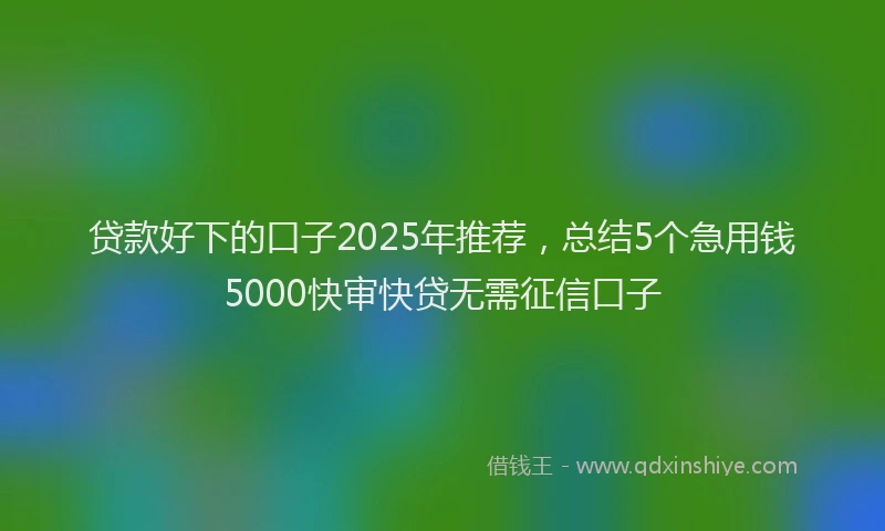 贷款好下的口子2025年推荐，总结5个急用钱5000快审快贷无需征信口子