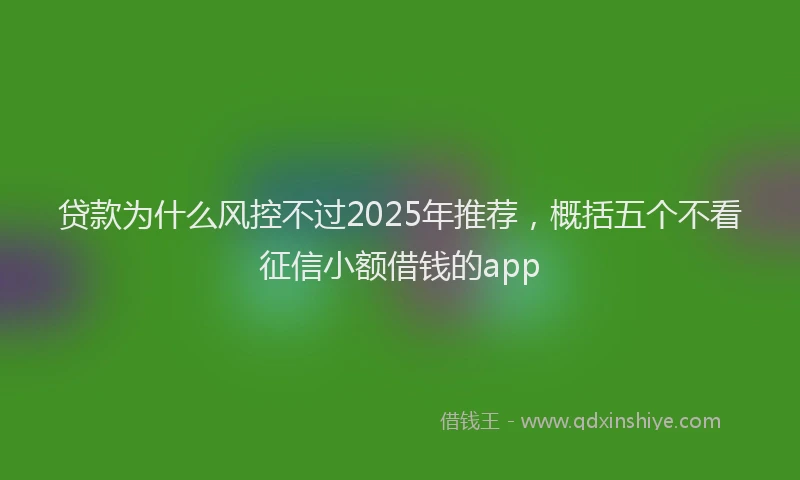 贷款为什么风控不过2025年推荐，概括五个不看征信小额借钱的app