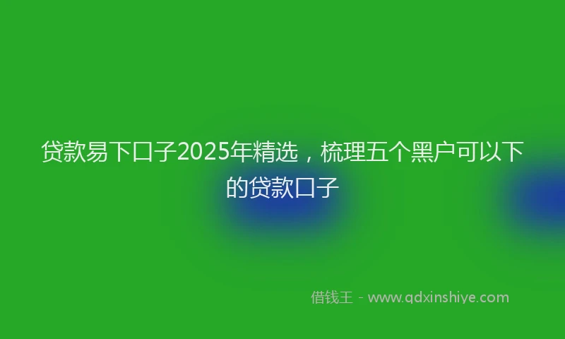 贷款易下口子2025年精选，梳理五个黑户可以下的贷款口子