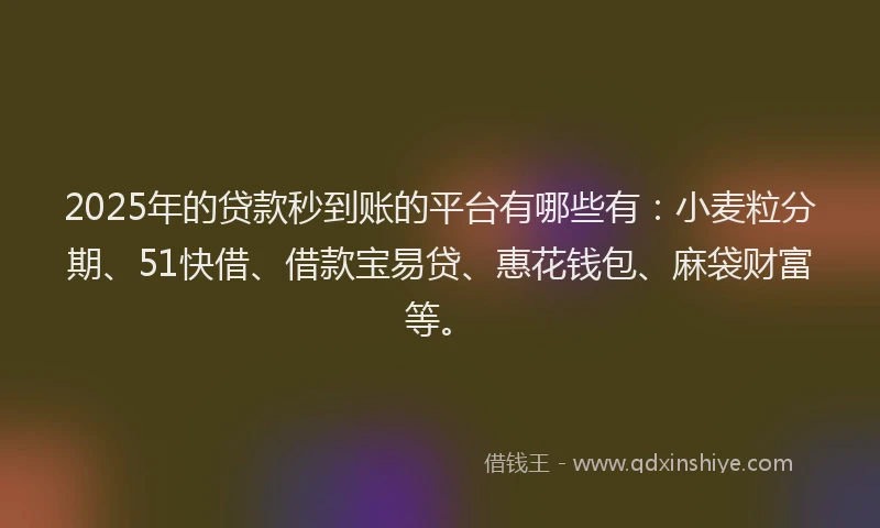 2025年的贷款秒到账的平台有哪些有：小麦粒分期、51快借、借款宝易贷、惠花钱包、麻袋财富等。