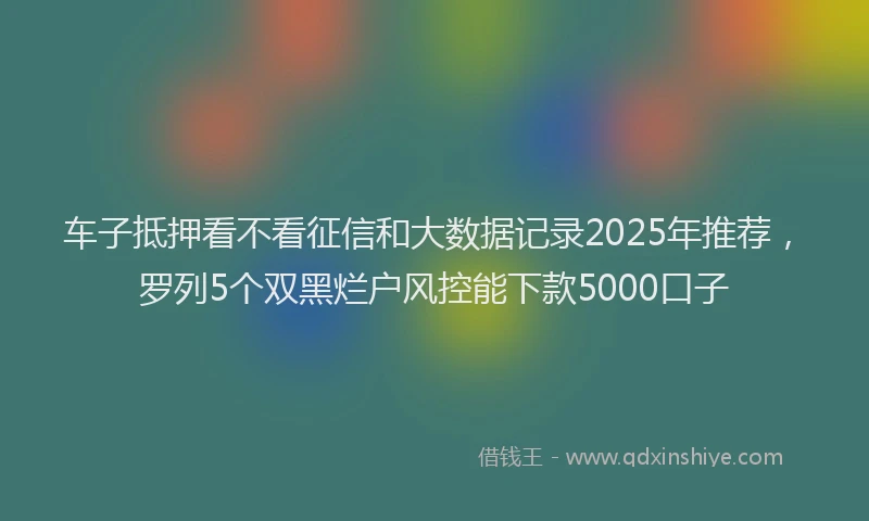 车子抵押看不看征信和大数据记录2025年推荐，罗列5个双黑烂户风控能下款5000口子