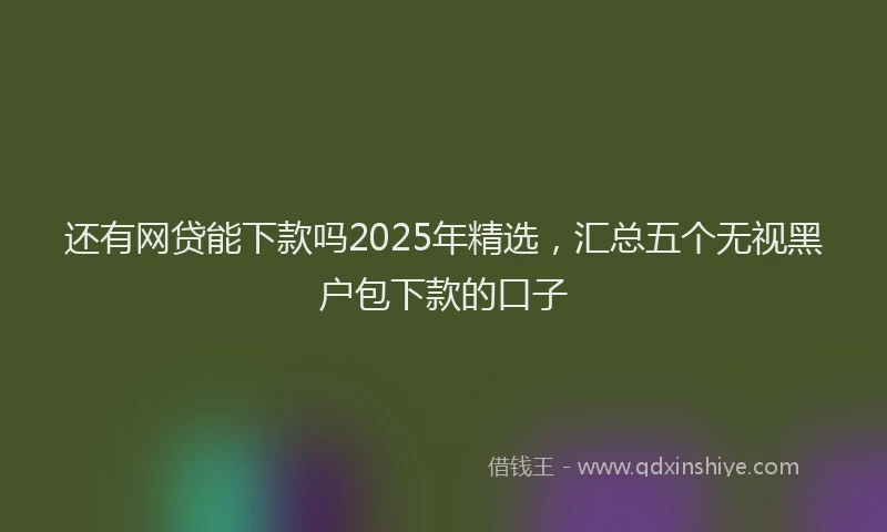 还有网贷能下款吗2025年精选，汇总五个无视黑户包下款的口子