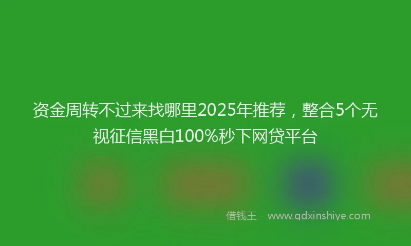 资金周转不过来找哪里2025年推荐，整合5个无视征信黑白100%秒下网贷平台