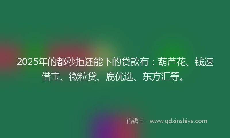 2025年的都秒拒还能下的贷款有：葫芦花、钱速借宝、微粒贷、鹿优选、东方汇等。